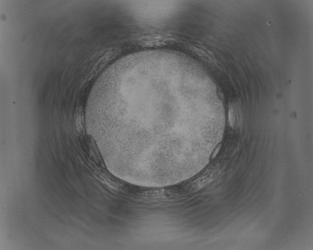 X0000072971444200608211310