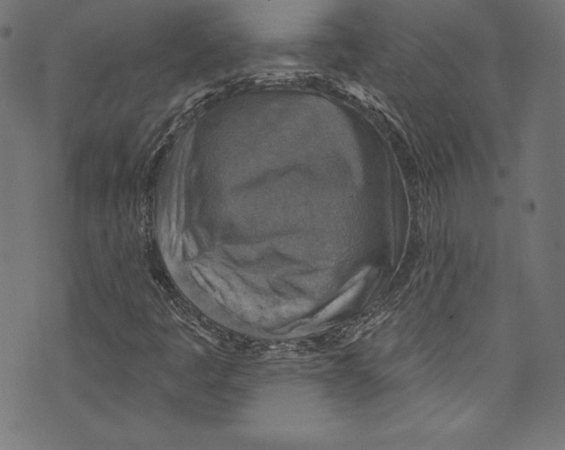 X0000072971445200608211310