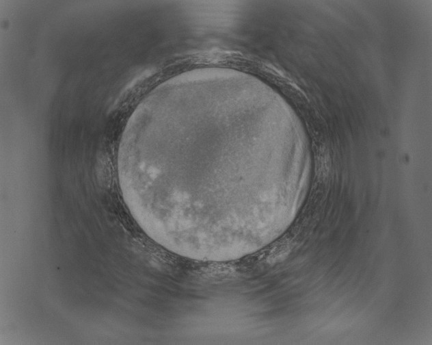 X0000072971446200608211310