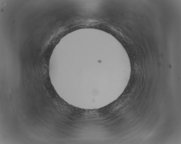 X0000072971447200608211310