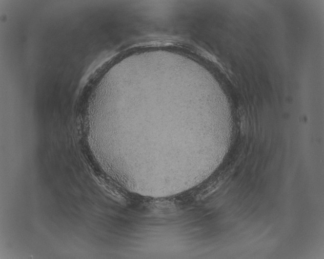 X0000072971448200608211310