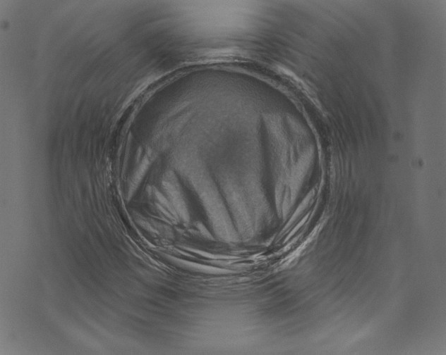 X0000072971449200608211310