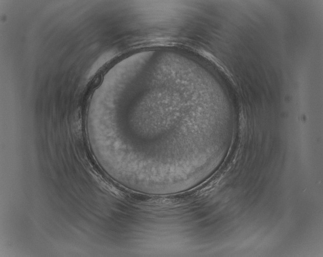 X0000072971450200608211310