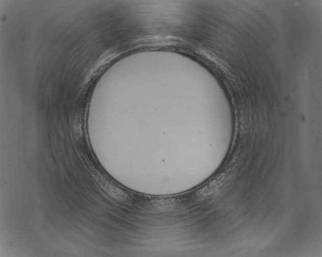 X0000072971451200608211310