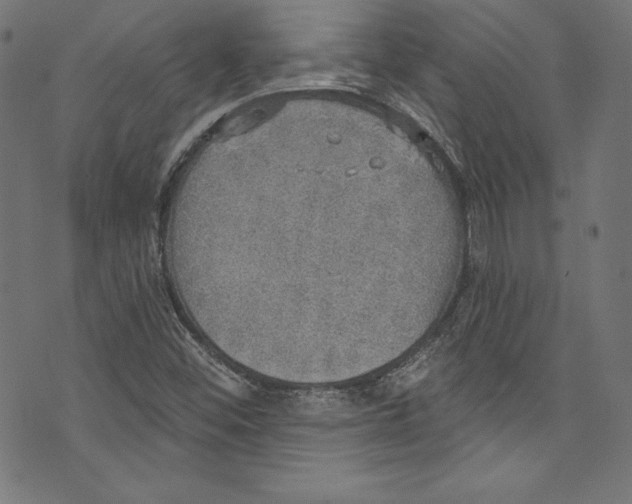 X0000072971452200608211310