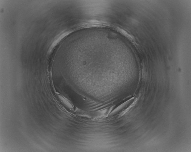 X0000072971453200608211310