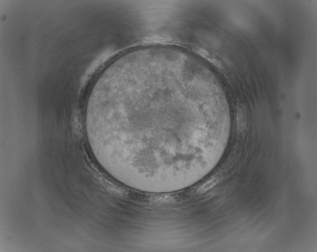 X0000072971454200608211310