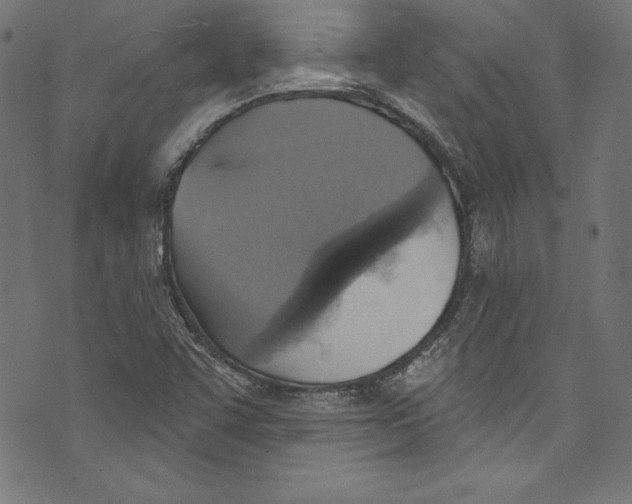 X0000072971455200608211310