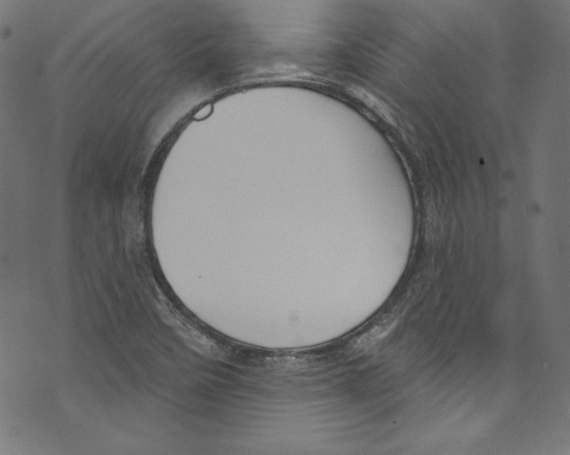 X0000072971458200608211310