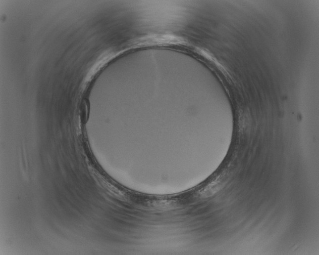 X0000072971459200608211310