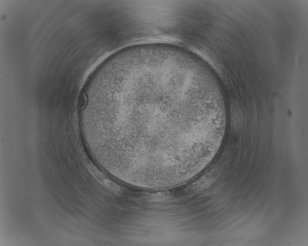 X0000072971460200608211310