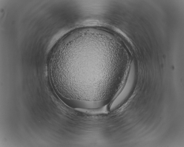 X0000072971461200608211310