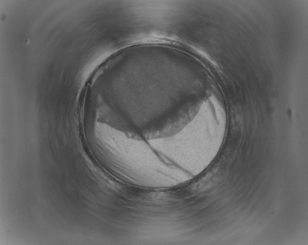 X0000072971463200608211310