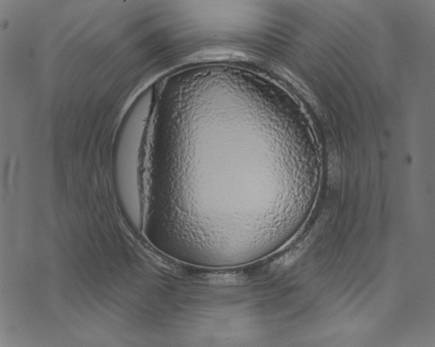 X0000072971465200608211309