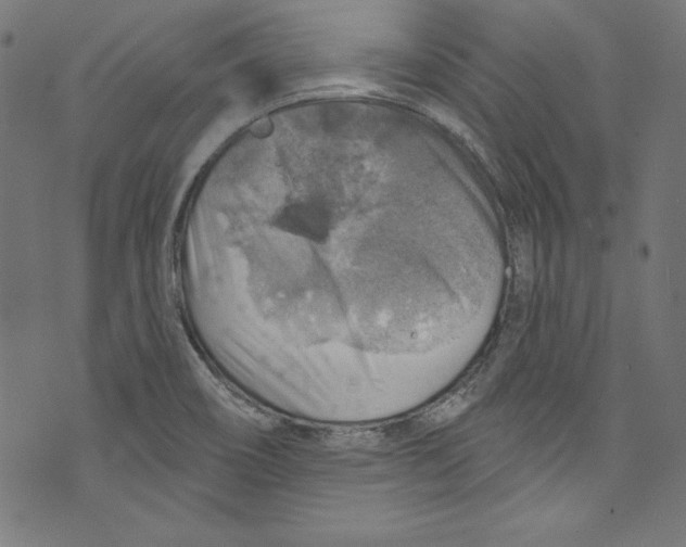 X0000072971466200608211309