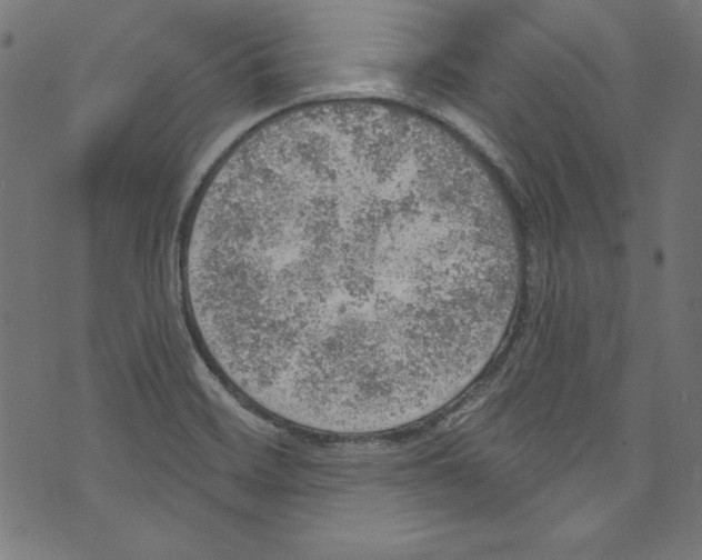 X0000072971468200608211309