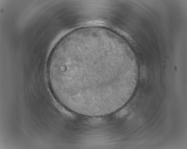 X0000072971470200608211309