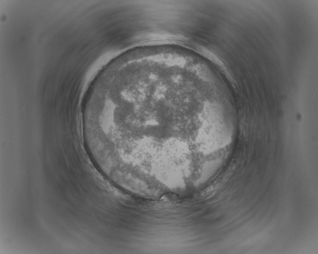 X0000072971472200608211309