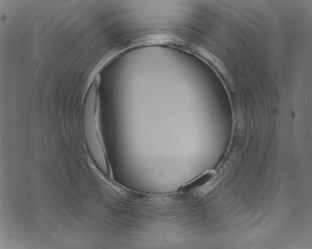 X0000072971473200608211309