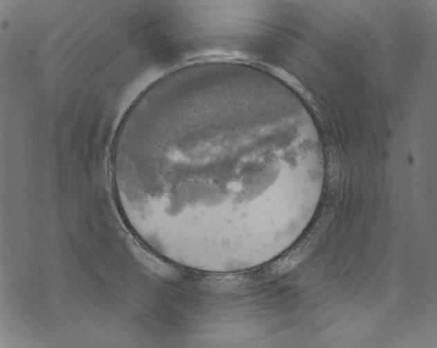 X0000072971474200608211309