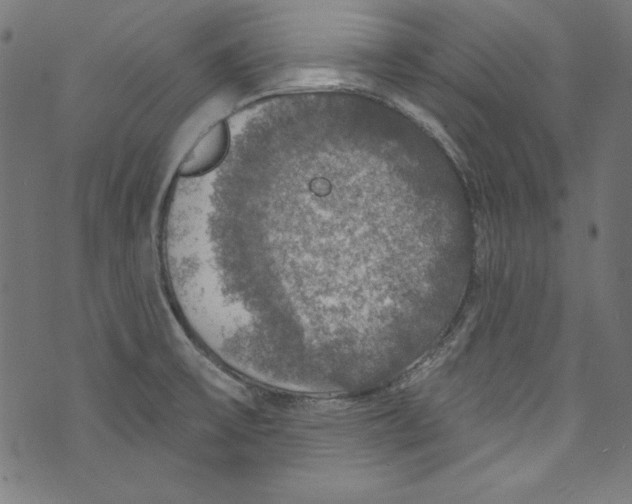 X0000072971475200608211309