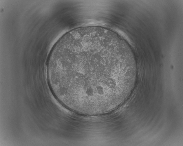 X0000072971476200608211309