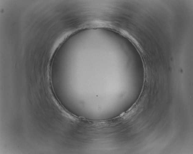 X0000072971477200608211309