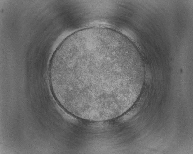 X0000072971478200608211309