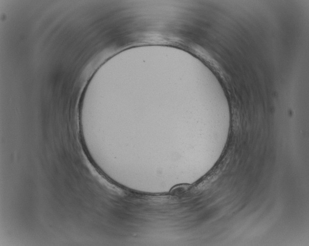 X0000072971479200608211309