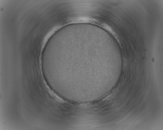 X0000072971480200608211309