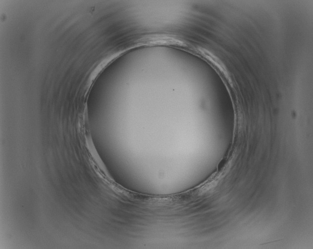 X0000072971481200608211309