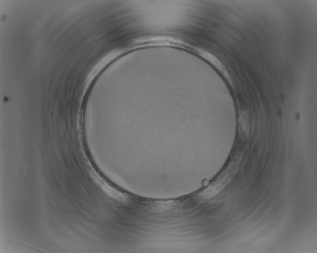 X0000072971482200608211309