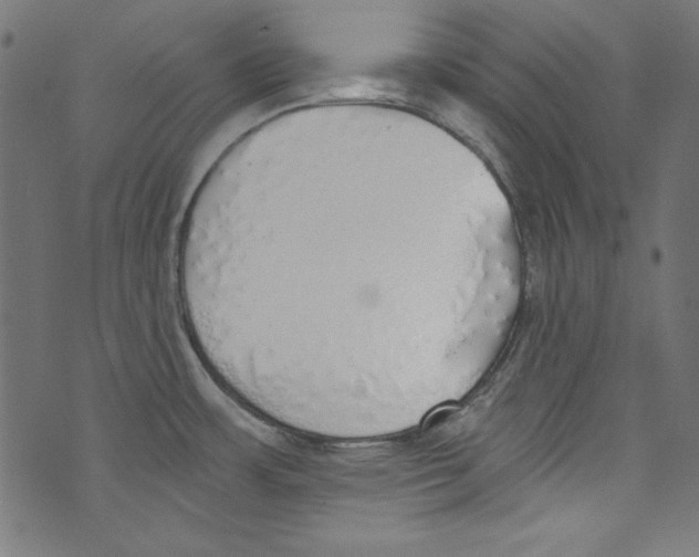 X0000072971483200608211309