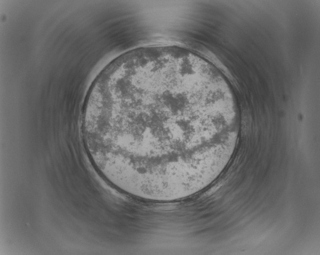 X0000072971484200608211309