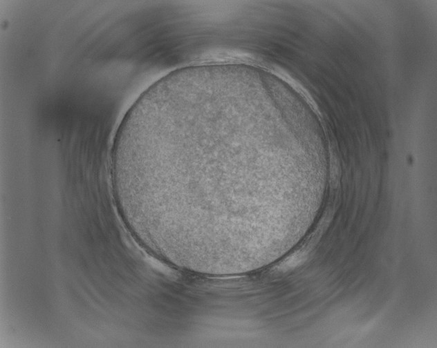 X0000072971486200608211309