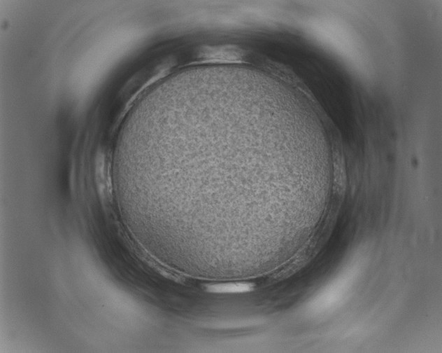 X0000072971487200608211309