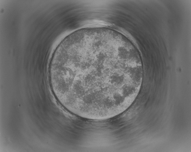 X0000072971488200608211309