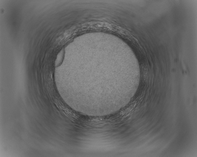 X0000072971489200608211308