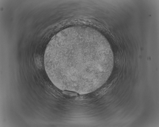 X0000072971490200608211308