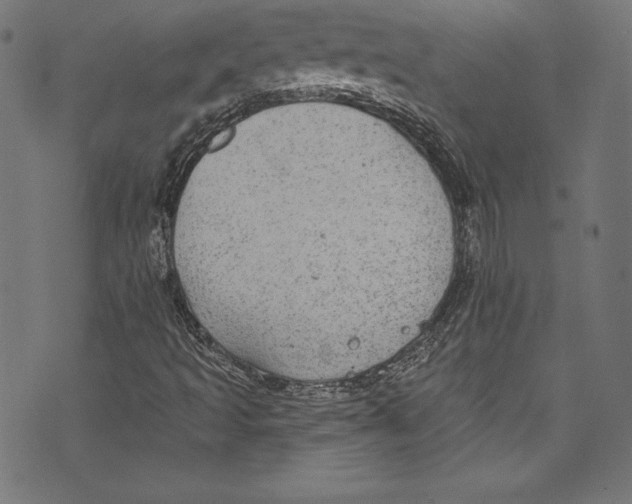 X0000072971493200608211308