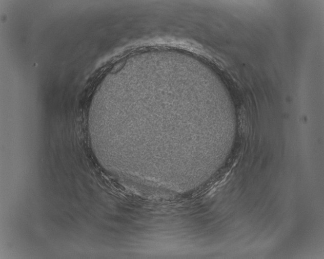 X0000072971494200608211308