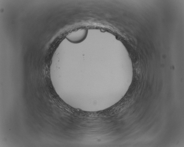 X0000072971495200608211308