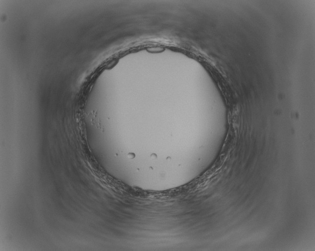 X0000072971496200608211308