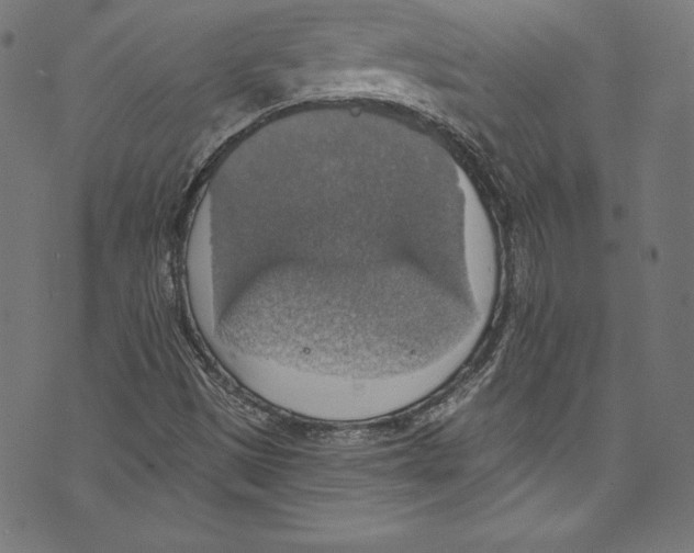 X0000072971497200608211308