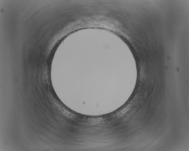 X0000072971498200608211308