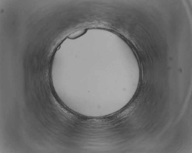 X0000072971500200608211309