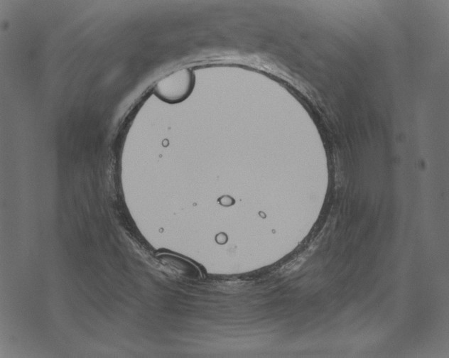 X0000072971502200608211309