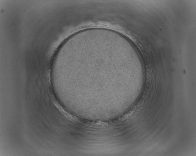 X0000072971503200608211309