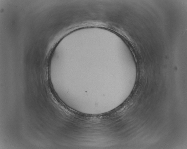 X0000072971504200608211309