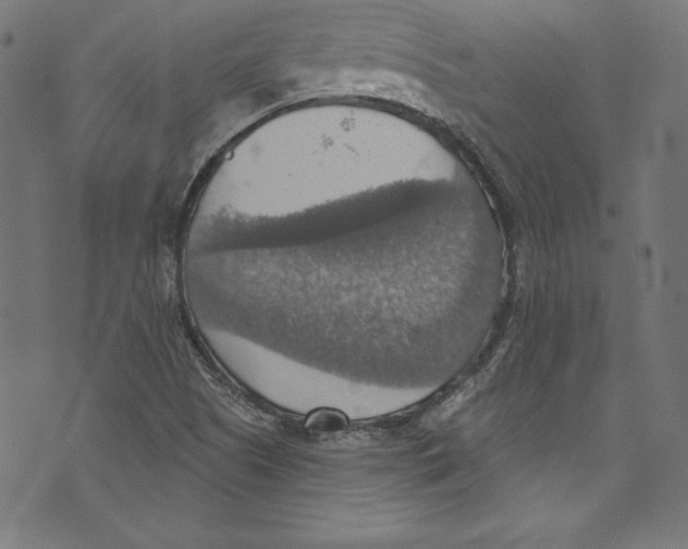 X0000072971505200608211309